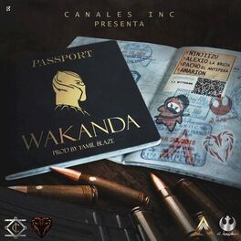 Album cover of Wakanda
