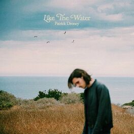 Album cover of Like the Water