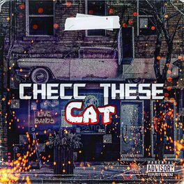 Album cover of Cheec These Cat
