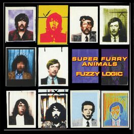 Album cover of Fuzzy Logic (20th Anniversary Deluxe Edition)
