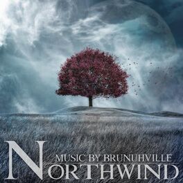 Album cover of Northwind