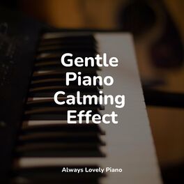 Album cover of Gentle Piano Calming Effect