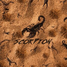 Album cover of Scorpion