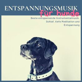 Album cover of Entspannungsmusik für Hunde: Beste entspannende Instrumentalmusik, Schlaf, tiefe Meditation und Entspannung