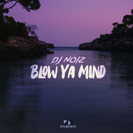 Album cover of Blow Ya Mind