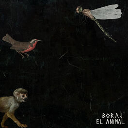 Album cover of El Animal: Parte I