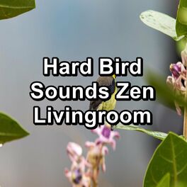 Album cover of Hard Bird Sounds Zen Livingroom
