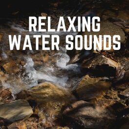 Album cover of Relaxing Water Sounds