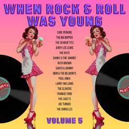 Album cover of When Rock and Roll Was Young, Vol. 5