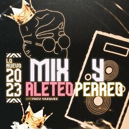 Album cover of MIX ALETEO Y PERREO (Remix)