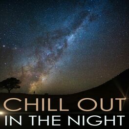Album cover of Chill out in the Night