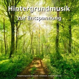 Album cover of Hintergrundmusik zur Entspannung