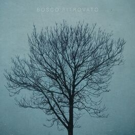 Album cover of Bosco Ritrovato