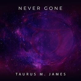 Album cover of Never Gone