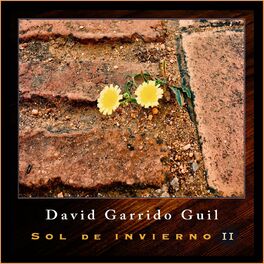 Album cover of Sol de Invierno II