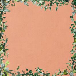 Album cover of The Way