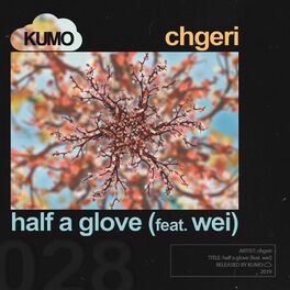 Album cover of half a glove