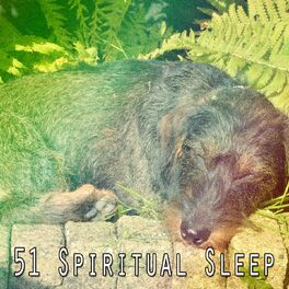 Album cover of 51 Spiritual Sle - EP