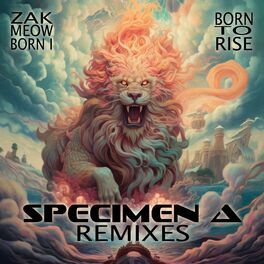 Album cover of Born To Rise