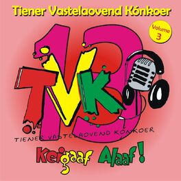 Album cover of Tiener Vastelaovend Konkoer 2013