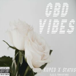 Album cover of CBD Vibes