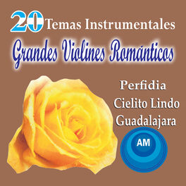 Album cover of 20 Temas Instrumentales