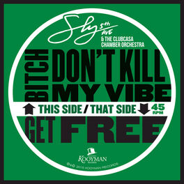 Album cover of Bitch Don't Kill My Vibe / Get Free
