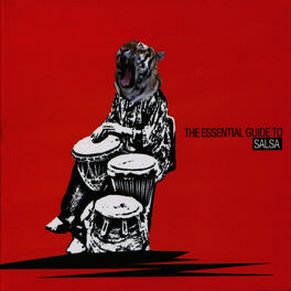 Album cover of The Essential Guide to Salsa