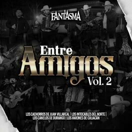 Album cover of Entre Amigos, Vol.2