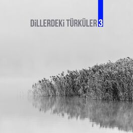 Album cover of Dillerdeki Türküler 3