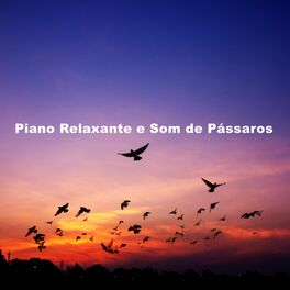 Album cover of Piano Relaxante e Som de Pássaros