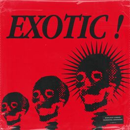 Album cover of Exotic (feat. Allstar Fendy)