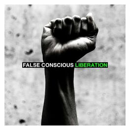 Album cover of False Conscious Liberation