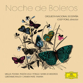 Album cover of Noche De Boleros