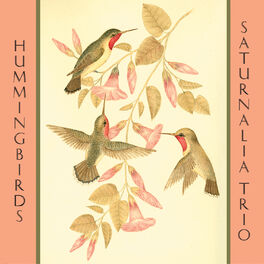 Album cover of Hummingbirds
