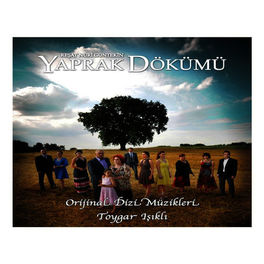 Album cover of Yaprak Dökümü Orijinal Dizi Müzikleri
