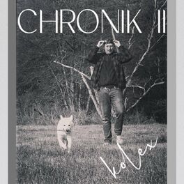 Album cover of Chronik 2