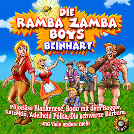Album cover of Beinhart
