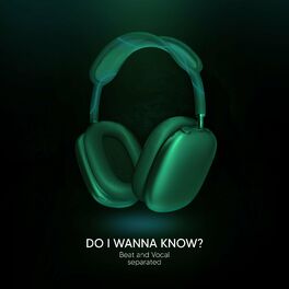 Album cover of Do I Wanna Know? (9D Audio)