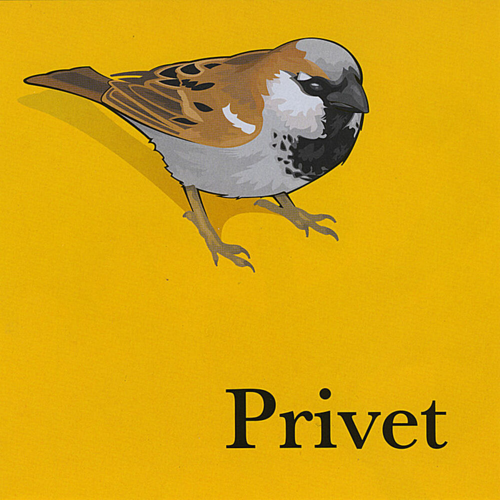 Privet privet slowed. Rock privet альбомы. A='privet'; Print(a[-1]**2)?. Привет twoone9. Привет t;SR.