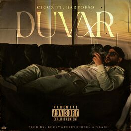 Album cover of Duvar