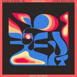 Album cover of Bring the Light