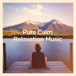 Album cover of Pure calm relaxation music
