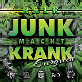 Album cover of Junk macht Krank (Evergreen)