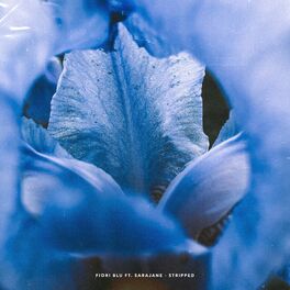 Album cover of Fiori Blu (feat. Sarajane) (Stripped Version)
