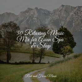 Album cover of 50 Relaxing Music Mix for Asian Spa & Sleep