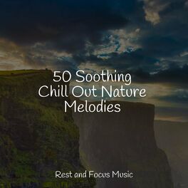 Album cover of 50 Soothing Chill Out Nature Melodies