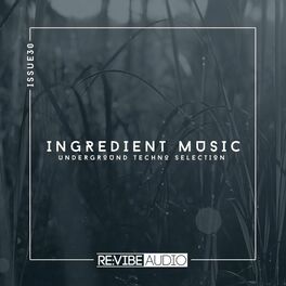 Album cover of Ingredient Music, Vol. 30