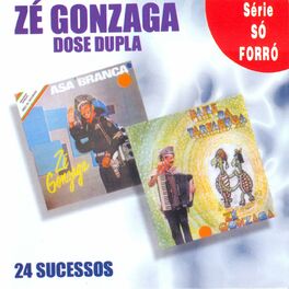 Album cover of 24 Sucessos, Série Só Forró: Dose Dupla