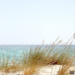 Album cover of Enchu
